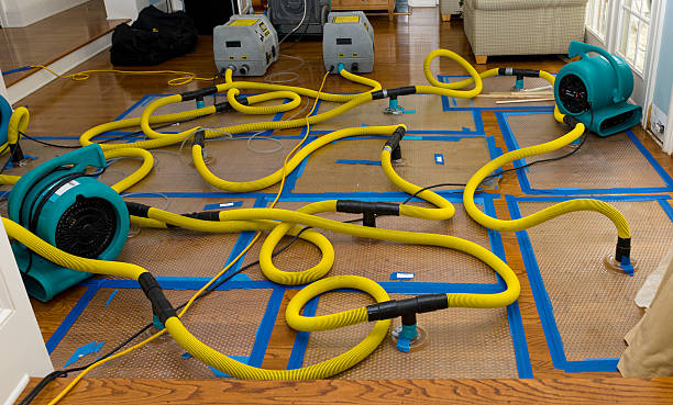 Professional Crawl Space Water Removal technician working in Pleasanton, CA